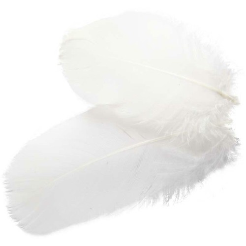 Round goose feathers craft - 1,