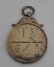 Gymnastic Parallels Bars