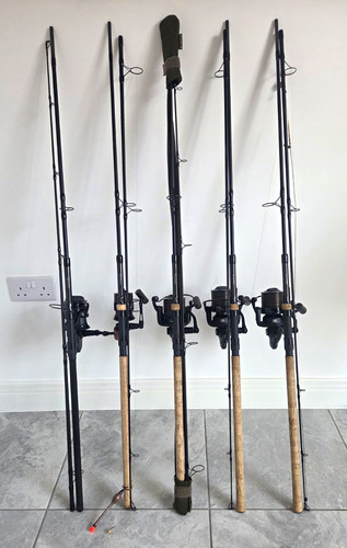 Complete carp fishing - carp,