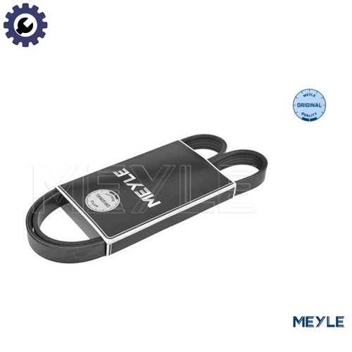 Vribbed belt 050 005 - belt, 1200