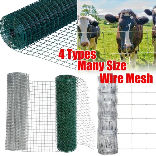 Garden pet dog - pet, fencing