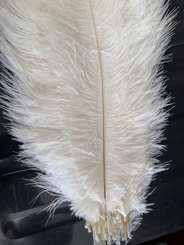 White natural ostrich feather - natural,