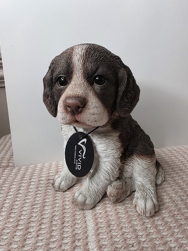 Springer spaniel puppy dog - spaniel,