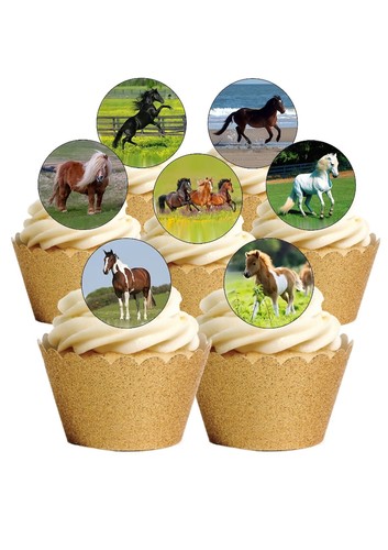 Cake toppers horse ponies - cake,