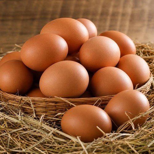 Fertilised poultry products - poultry,