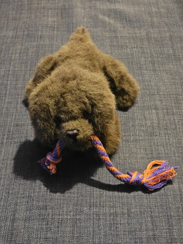 Furreal friends tugging - friends, pup