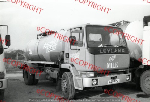 Truck photo dairy products - photo,