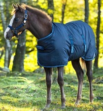 HORSEWEAR AMIGO RIPSTOP FOAL