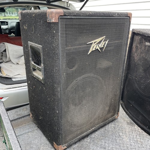 Peavey 3way 115 international - 3way,