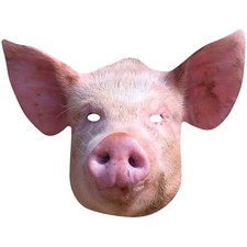 Pig Animal 2D Single Card Party Mask - World Book Day Farmyard Piggy Piglet