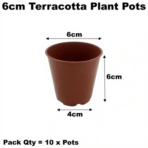 6cm plant pots - 6cm,
