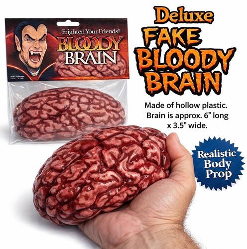Deluxe fake brain model hard - deluxe,