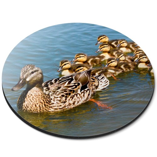 Round mouse mat - mat, duck