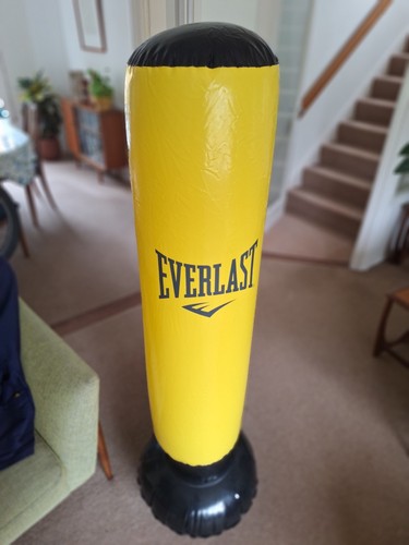 Everlast power tower - power,