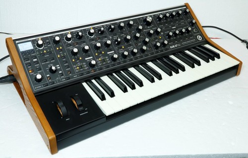 Moog sub paraphonic analog - sub,