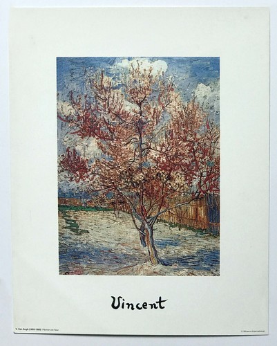 Peach tree blossom by - peach, in