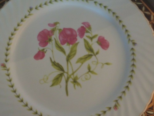 Trade winds tableware dinner - trade,