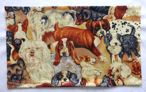 Dogs jack russell boxer - jack,