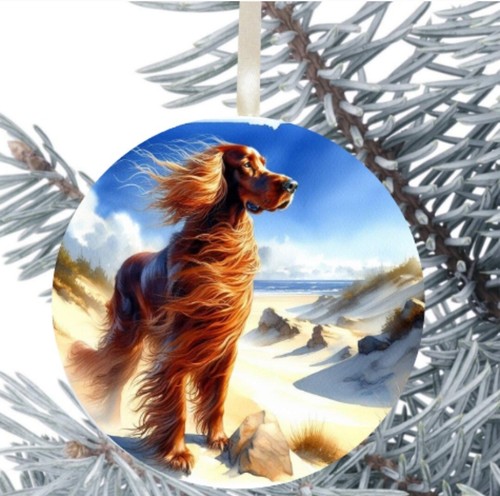 Red setter dog hanging - setter,