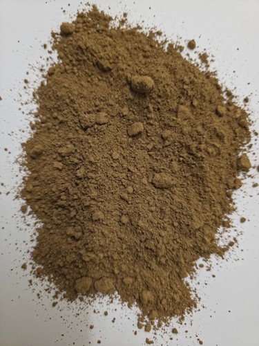 Organic reishi mushroom powder - mushroom,