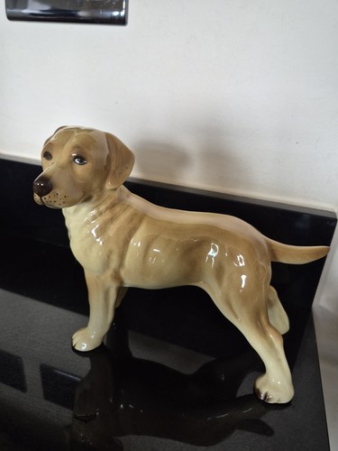 Coopercraft golden labrador - golden,