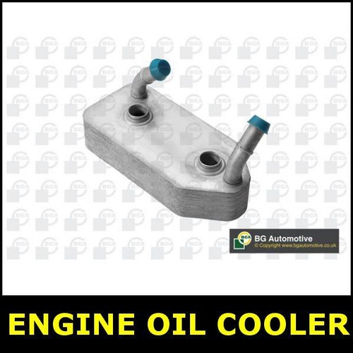 Engine oil cooler - engine, polo