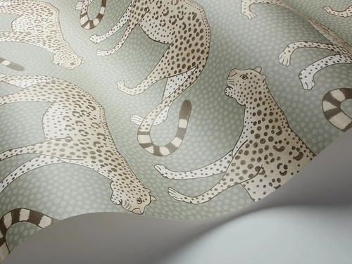 Roll cole son leopard - roll,