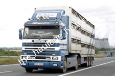 THH Truck Photos - Scania 143m