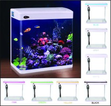 Small Aquarium Fish Tank