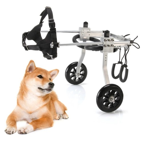 Anmas power dog - power,