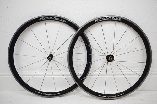 Campagnolo shamal alloy 700c - alloy,