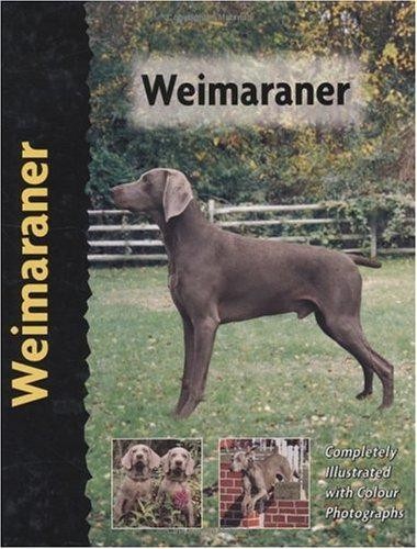Weimaraner - ,