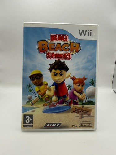 Big beach sports nintendo - big, (nintendo