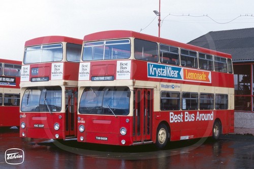 Bus photo western scottish - bus,