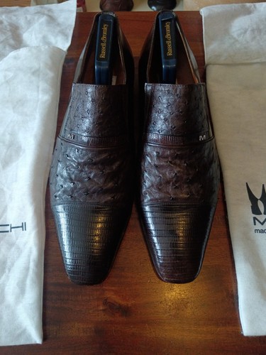 Moreschi brown ostrich - moreschi,