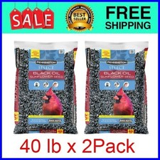 Pennington Select Black Oil Sunflower Seed Wild Bird Dry Feed, 40 lb x 2Bag