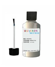 Paint For Vauxhall Pannacotta