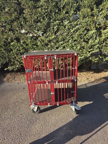 Dog show trolley has been - trolley,