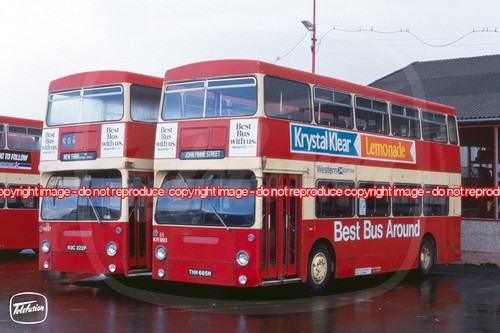 Bus photo western scottish - -,