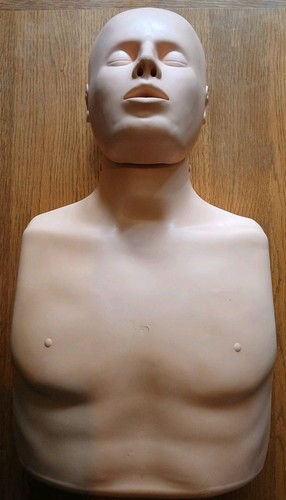 Practi man standard manikin - standard,