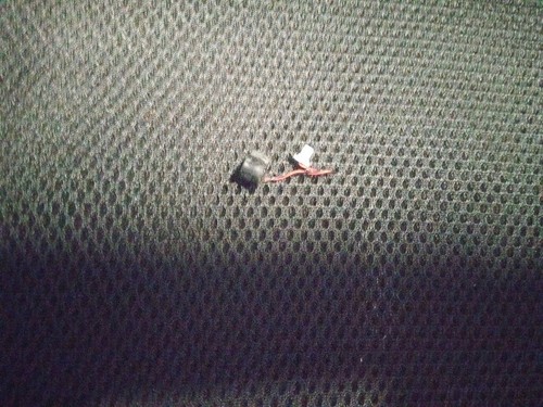 Toshiba satellite - toshiba,