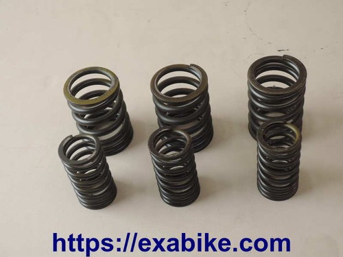 Valve springs for kawasaki - kawasaki, gpz
