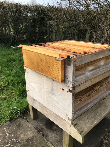 Bee keeping frame rests - keeping,