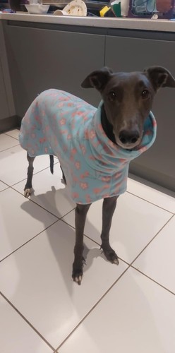 Cherries fleece dog coat - dog,
