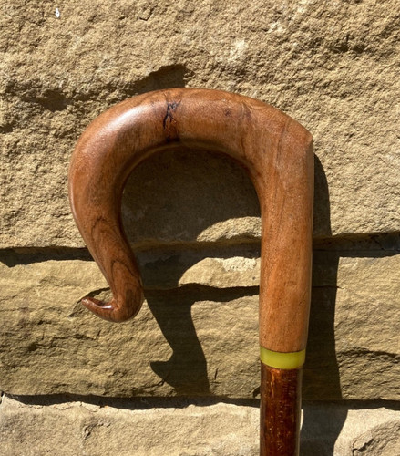 Chestnut crook on - chestnut, hazel