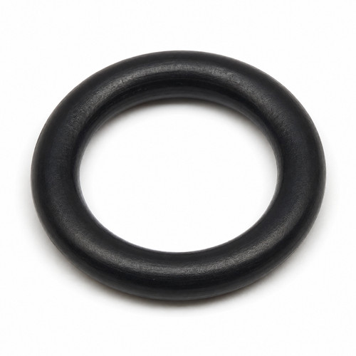Carpigiani ic193205240 ring - carpigiani,