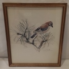 Framed Jay Bird on Branch Art