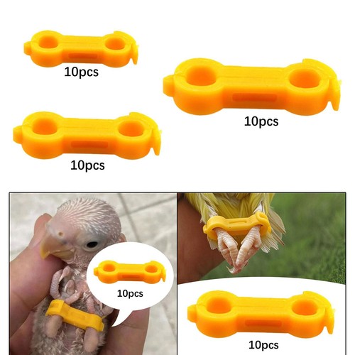 10pcs chicken leg bands baby - leg,