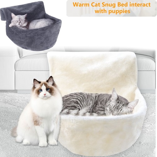 Cat kitten hanging radiator - kitten,