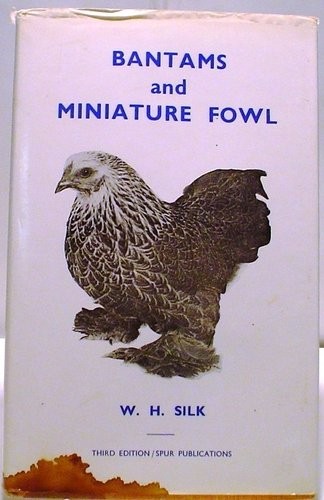 Bantams and miniature fowl - miniature,